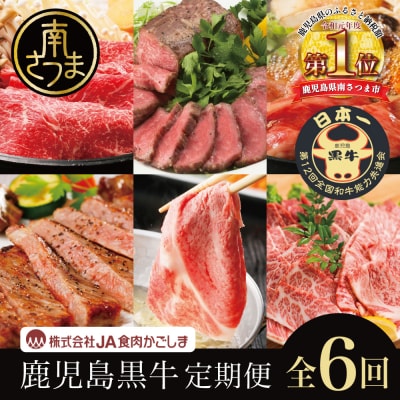 鹿児島黒牛定期便(全6回)  黒毛和牛 牛肉 定期便