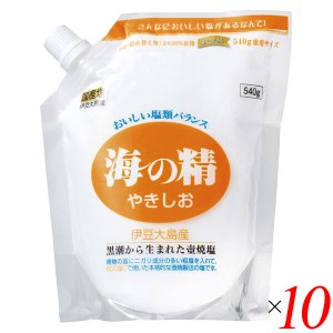 塩 天然塩 天日 海の精 やきしお（スタンドパック）540g 10個セット 送料無料