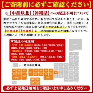 akune-30-5 ＜定期便・全6回(偶数月)＞阿久根市の山の幸・海の幸！不知火・そら豆・タカエビ・メロン・伊勢えび・ぼんたんなど)国産 柑橘 みかん フルーツ 果物 魚介 頒布会30-5