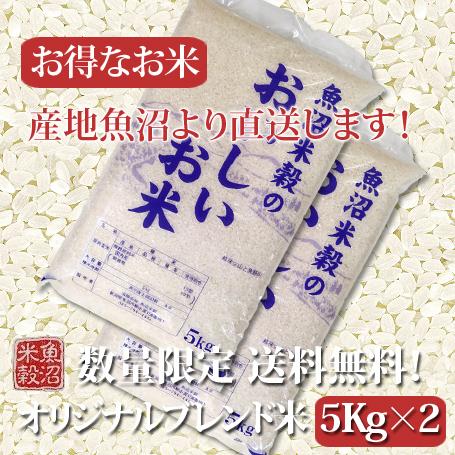 米 お米 白米 精米 安いお米 10kg 5kg×2 新潟産 魚沼産 国内産 ブレンド米  送料無料（北海道・九州・沖縄は除く）離島は発送不可