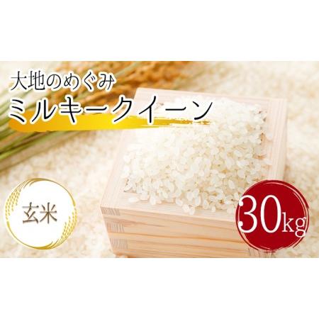 ふるさと納税 「ミルキークイーン」玄米30kg入　1袋 埼玉県嵐山町