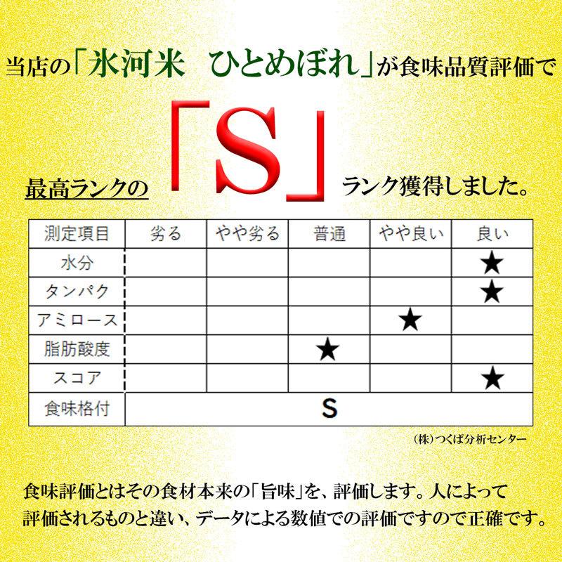 新米 米 ひとめぼれ 白米 5kg 送料無料 高級 特別栽培米 山形県産 令和5年産 美味しいお米 氷河米 山形 庄内 農家直送