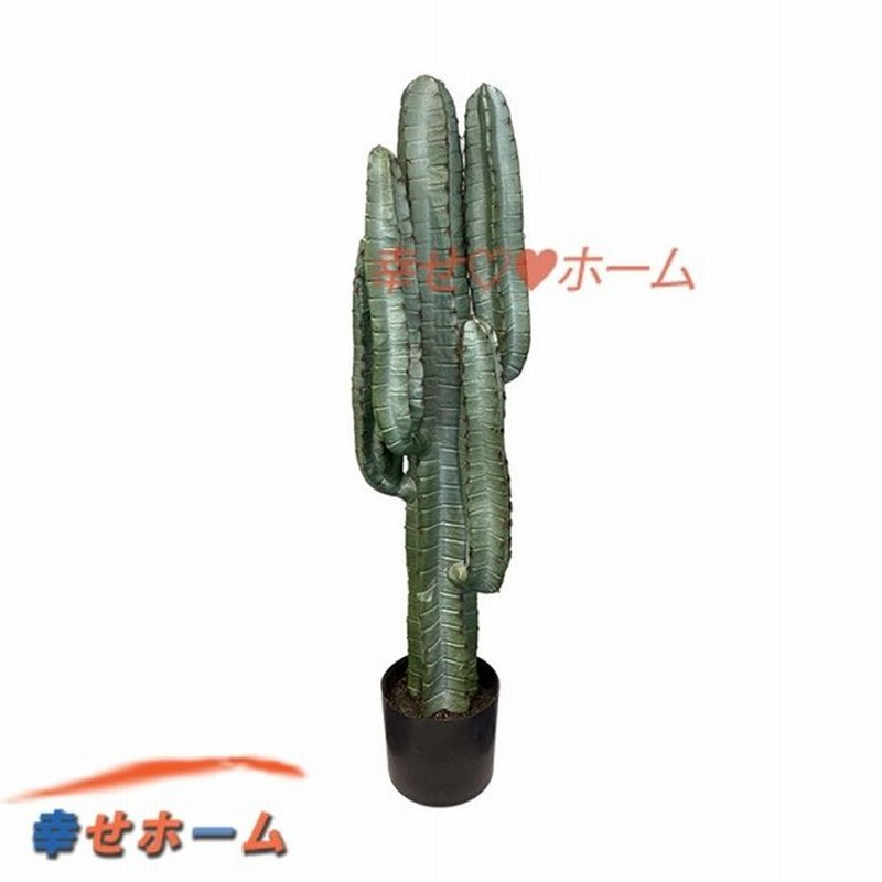 鉢植え サボテン 人工観葉植物 水やり不要 フェイクグリーン リアル 大型 造花 インテリア リビング お見舞い 恋人へサプライズ テーブル用 プロポーズ 新学期 通販 Lineポイント最大0 5 Get Lineショッピング