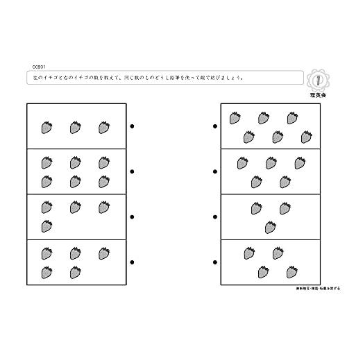 009 ばっちりくんドリル 計数(基礎編) (理英会の家庭学習支援シリーズ)