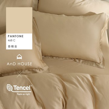 AnD House 天絲60支-香檳金-床包被套組｜安庭家居 素色 顏色任搭