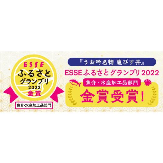 ふるさと納税 福井県 敦賀市 [047-b001] 海鮮 ご飯にのせるだけ！手間なし こだわり海鮮丼「恵びす丼の素 5食」（1袋 90g）ESSEふるさとグランプ…