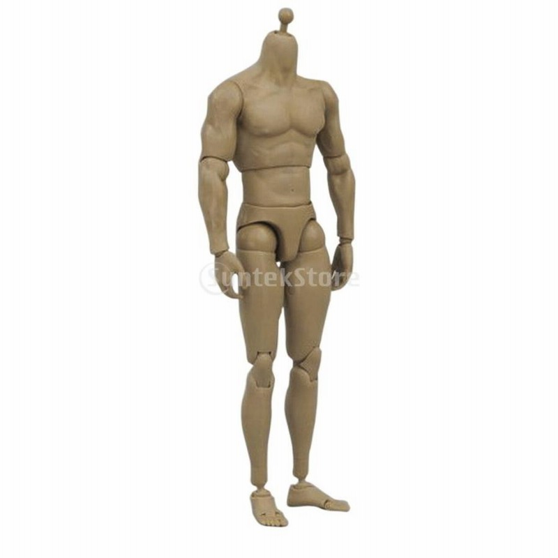 ノーブランド品 1:6 筋肉 マン フィギュア 人体模型 男性 ボディ