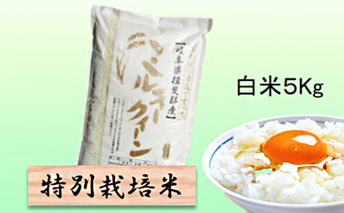 特別栽培米★白米５kg  玄米は別に出品