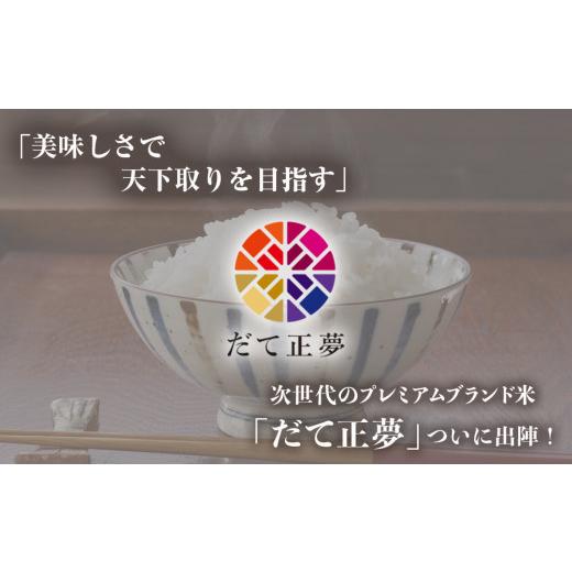 ふるさと納税 宮城県 石巻市 令和5年産 宮城県産 だて正夢 精米 10kg （5kg×2袋） 石巻市