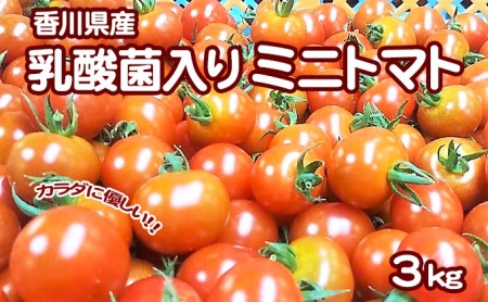 カラダに優しい「乳酸菌入り ミニトマト3kg」