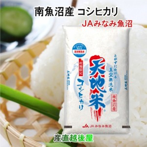 令和５年産 新米 南魚沼産 コシヒカリ 10kg 無洗米 新潟県 南魚沼 JAみなみ魚沼農協 真空包装 天地米 送料無料