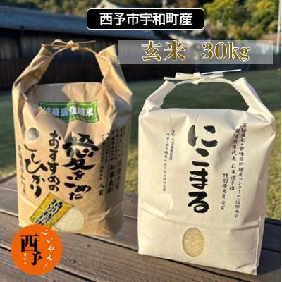 ふるさと納税 西予市 令和5年産　西予市宇和町産　玄米30kg