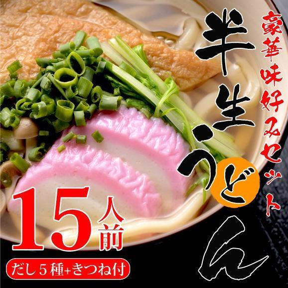 半生うどん１５人前　豪華味好みセット