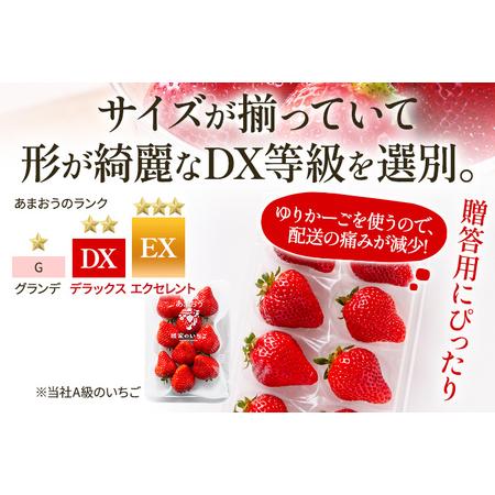 ふるさと納税 福岡県田川市産 あまおう 8or9入り×4パックイチゴ いちご 苺 贈答にも 福岡県田川市