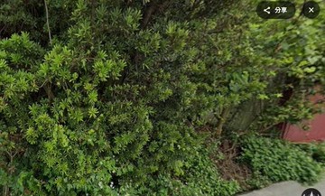 西屯近大雅交流道單坪10萬｜臨路都計內農地｜台中市西屯區廣順段