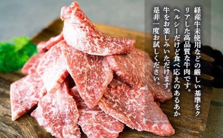 熊本県産和牛 GI認証取得 くまもとあか牛 焼き肉用切り落とし 600g