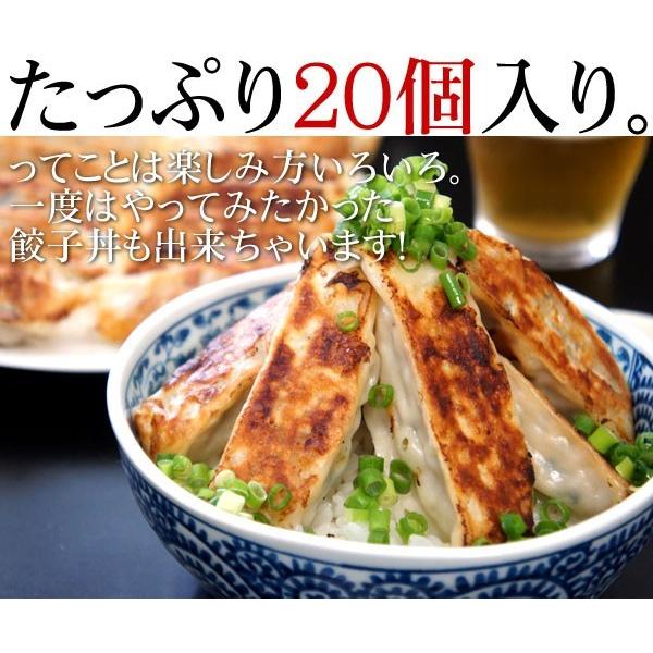 お取り寄せグルメ 大きな餃子 20個 瀬戸内六穀豚使用 餃子 取り寄せ 冷凍 ぎょうざ ギョウザ 国産豚肉 お取り寄せ ご飯のお供