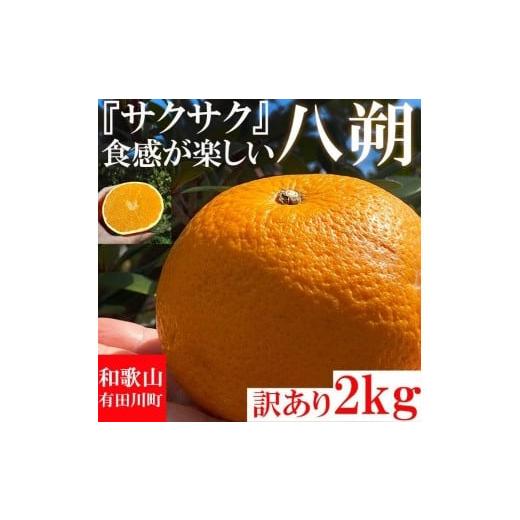 ふるさと納税 和歌山県 有田川町 みかん はっさく 八朔 2kg 訳あり