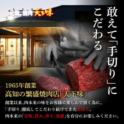 ふるさと納税 芸西村 エイジング工法熟成肉土佐あかうし特選ヒレサイコロステーキ500g(冷凍)