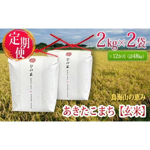 ふるさと納税 秋田県 にかほ市 《定期便》4kg×12ヶ月 秋田県産 あきたこまち 玄米 2kg×2袋 神宿る里の米「ひの米」（お米 小分け 1年）