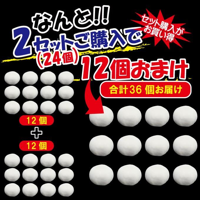 送料無料 スープ溢れる焼き小籠包冷凍12個入り 2セット購入で12個以上プレゼント 中華 点心 生煎包 しょうろんぽう ショウロンポウ