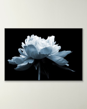 "Midnight Blossom 2" Giclee
