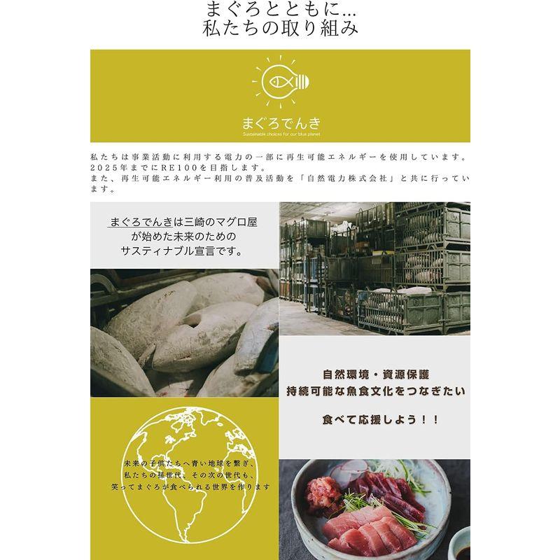 三崎恵水産 無添加 日本が誇る伝統調味料の手仕事 まぐろづけ丼10パックセット