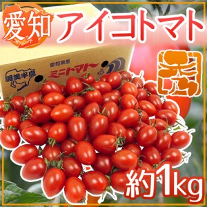 愛知県産 ”アイコトマト” 秀品 約1kg