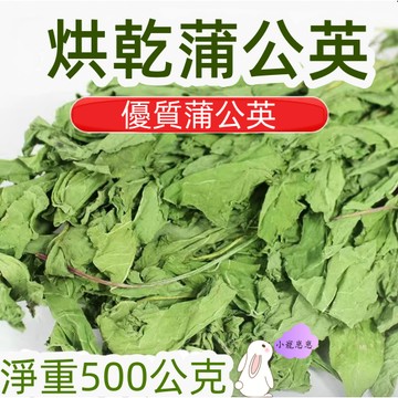 【隔日達】烘乾蒲公英草兔兔龍貓蒲公英幹草飼料兔兔用品
