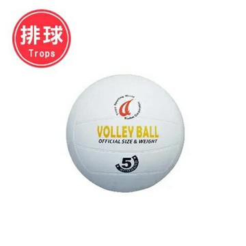 成功 4035 一般排球 (5號)【APP滿額下單4%點數(單一帳號最高1000點)】7/31止