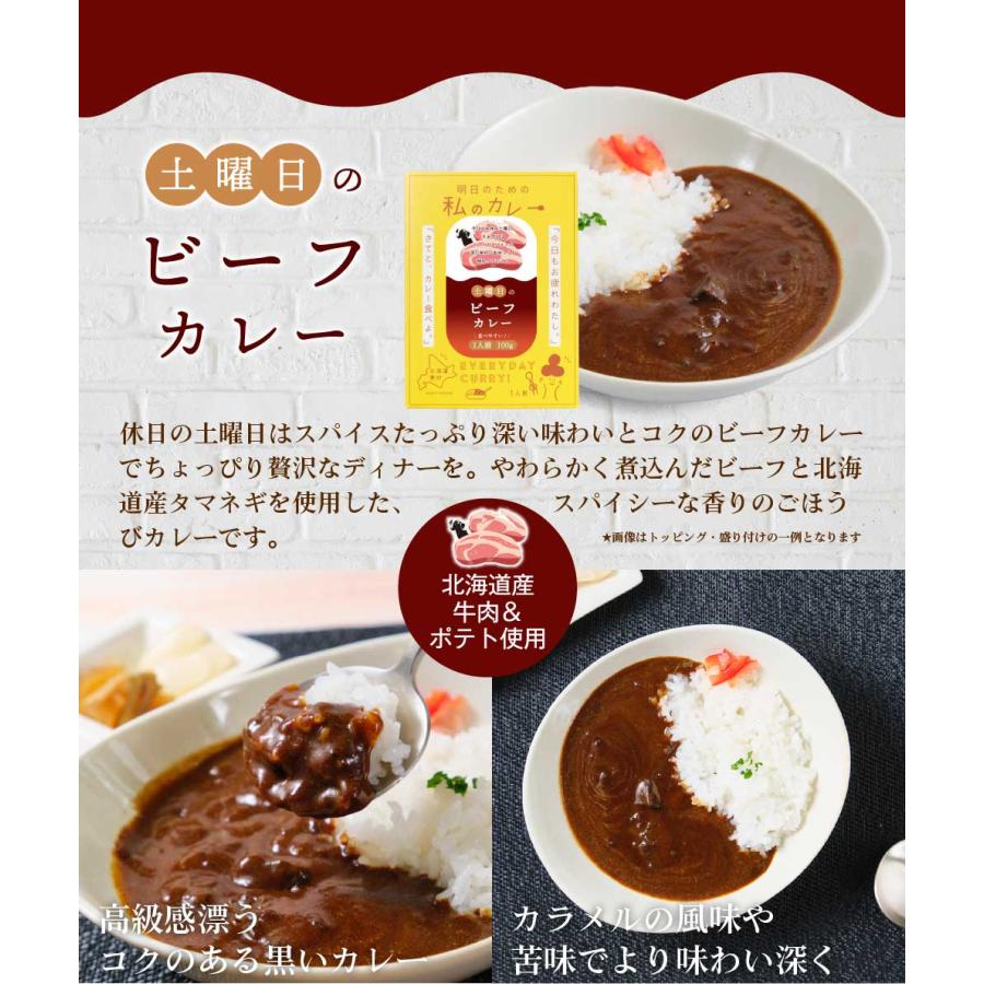 丸市岡田商店 明日のための私のカレー 100g × 6種セット（6個セット） 送料無料 レトルトカレー ご当地 北海道産 札幌 ギフト お歳暮 御歳暮 クリスマス