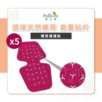 【Fullicon 護立康】暖宮通通貼(5片組)