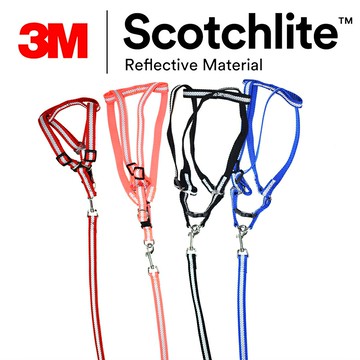 中、小型狗狗慢跑 跑步反光牽繩 反光項圈 3M Scotchlite