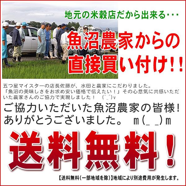 米 10kg  魚沼産 コシヒカリ 特選 （ 令和5年産 ）10kg（5kg×2袋） 