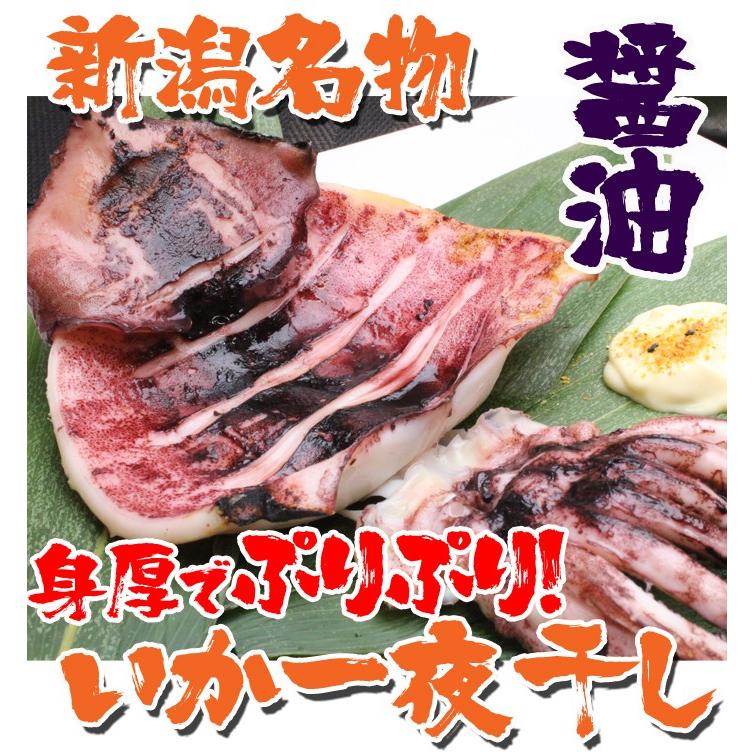 干物 いか 新潟名物 いか一夜干し 醤油味セット 2枚入×４袋 烏賊 おつまみ 肴 海鮮 ギフト