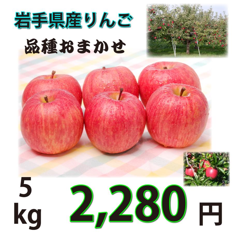 りんご おまかせ品種 訳あり 5kg