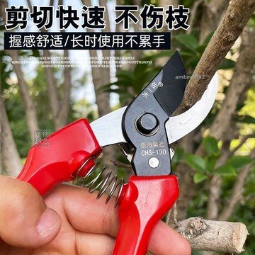 購滿99出貨 可開發票 進口佐一木修枝剪果樹剪省力剪園藝剪樹剪子園林花枝手剪果樹剪刀