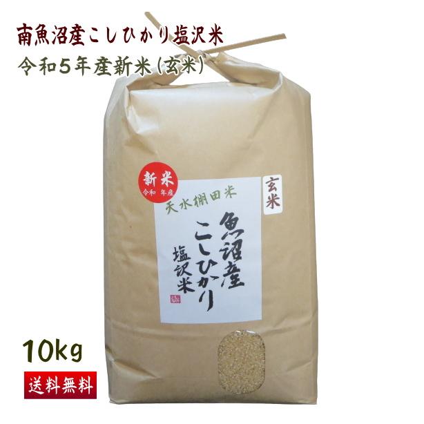 送料無料 （令和5年新米） 南魚沼産 コシヒカリ 塩沢米 玄米 10kg 産地直送 こしひかり