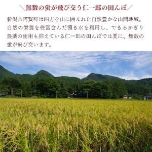 ふるさと納税  米 5kg 新潟県産 コシヒカリ 令和5年産 奥阿賀 仁一郎 こしひかり 白米 精米 送料無料 お取り寄せ お米  新潟県阿賀町