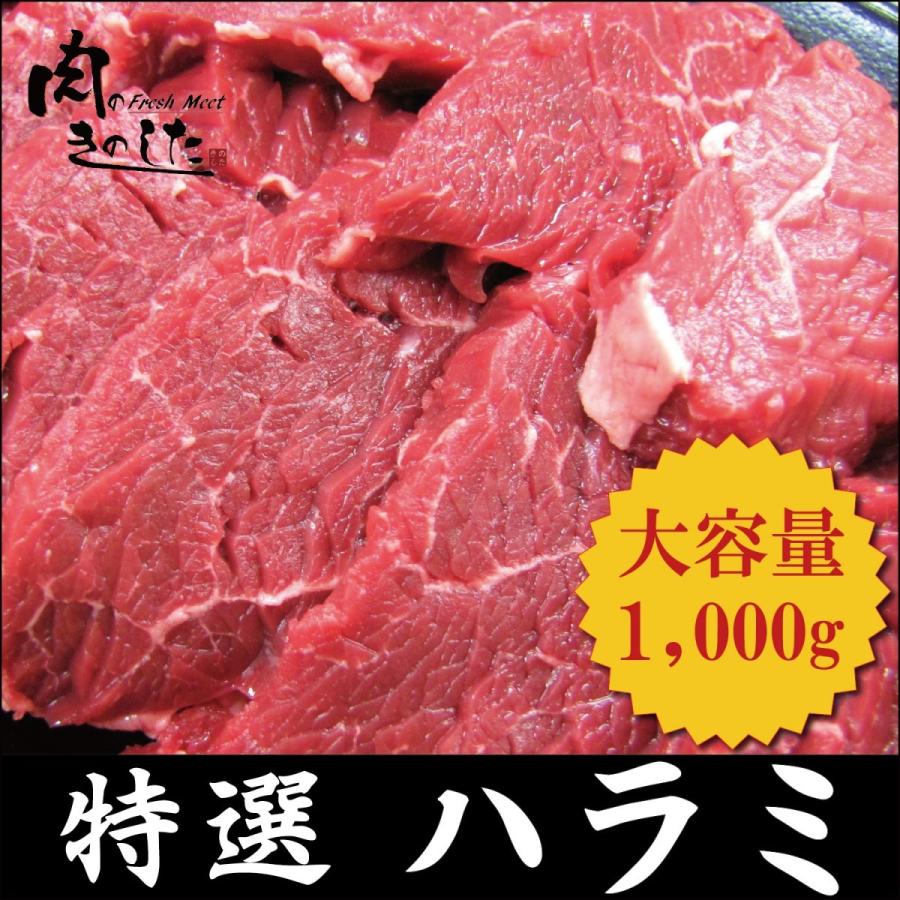 牛肉 特選ハラミ 1kg BBQ バーベキュー 焼肉 大容量