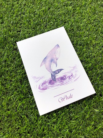 明信片　彩鯨小紫