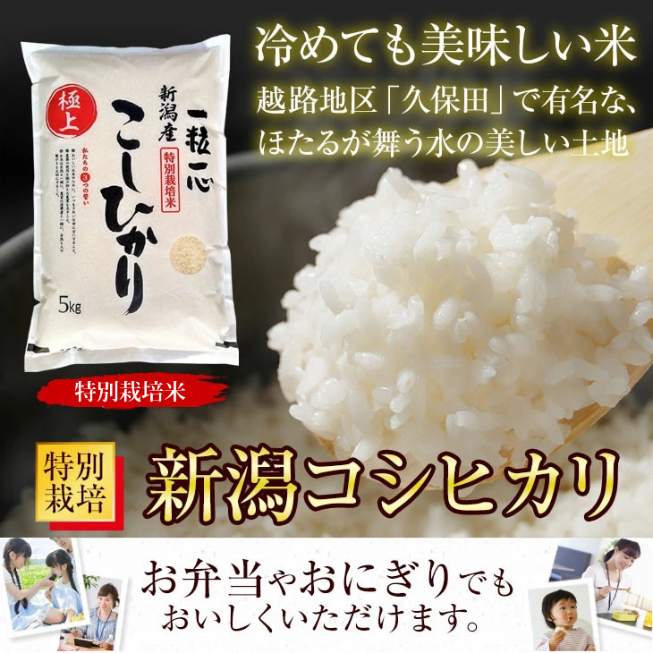 新潟産 こしひかり 白米 10kg（5kg×2袋）送料無料 生産農家直送 厳しい