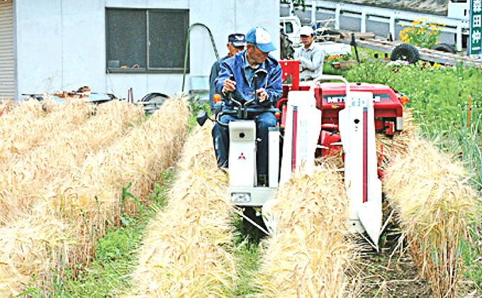 宇治町産　もち麦商品詰め合わせA