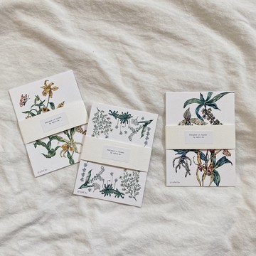 sybil-ho 四款植物pattern卡片 一組四入