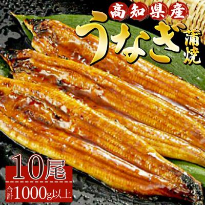 ふるさと納税 香南市 高知県産養殖うなぎ蒲焼 10尾(合計1000g以上) ss-0041