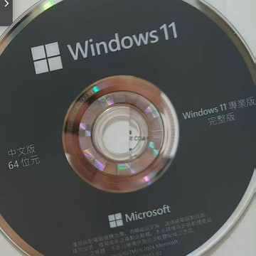 win11繁版專業系統盤,原裝繁版專業版64位光碟