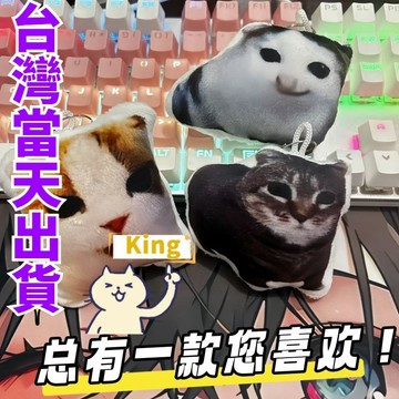 【台灣出貨】oiia貓發聲按鍵 旋轉貓 oiiai 抖音貓 oiiai貓 貓 貓 meme 旋轉 貓迷因 旋轉貓咪 按鍵