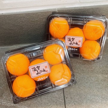 【帕查嬤嬤】🇯🇵日本 佐賀 唐津 溫室 蜜柑1+1盒🍊｜日本進口水果