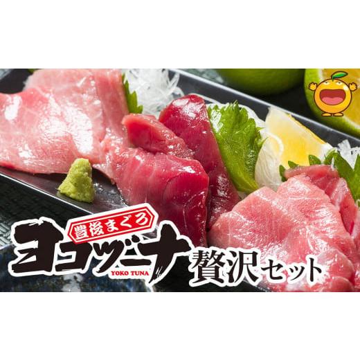 ふるさと納税 大分県 津久見市 豊後まぐろ ヨコヅーナ 贅沢セット 赤身250g 中トロ500g 大トロ250g入りの豪華セット 大分県産 九州産 津久見市