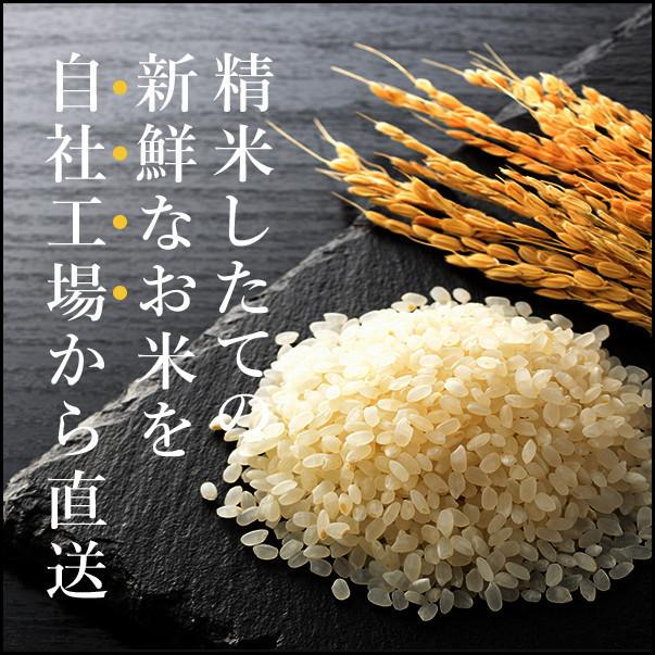 新米 令和５年産 贈り物 お米 5kg 送料無料 コシヒカリ 白米 5kg×1袋 茨城県 産直 五ツ星お米マイスター厳選米 内祝い 御祝い お祝い